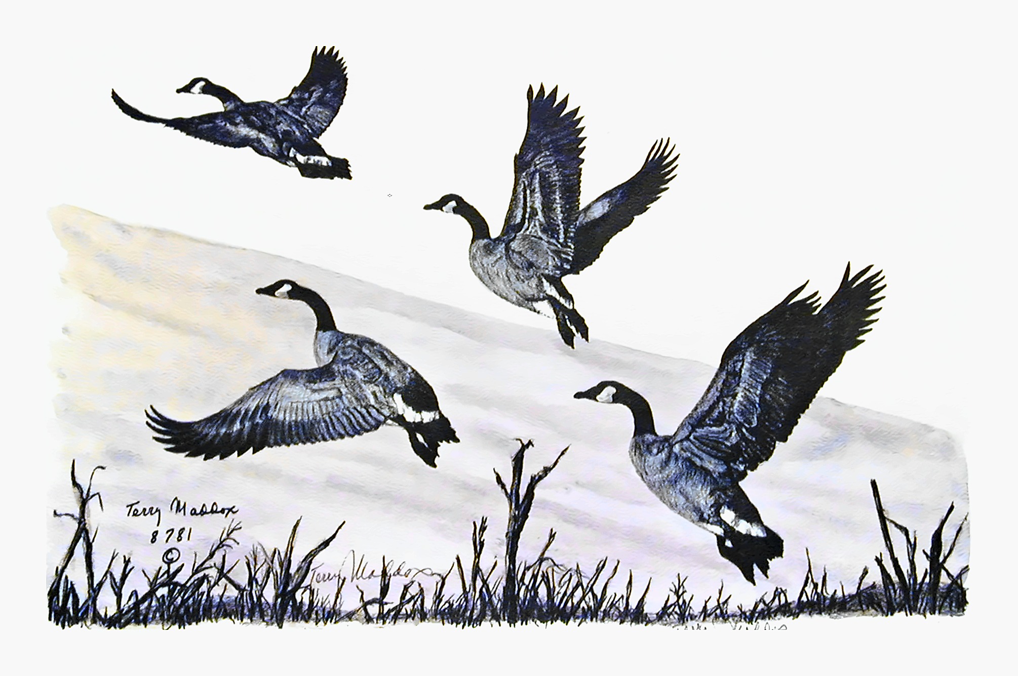 Rising Geese