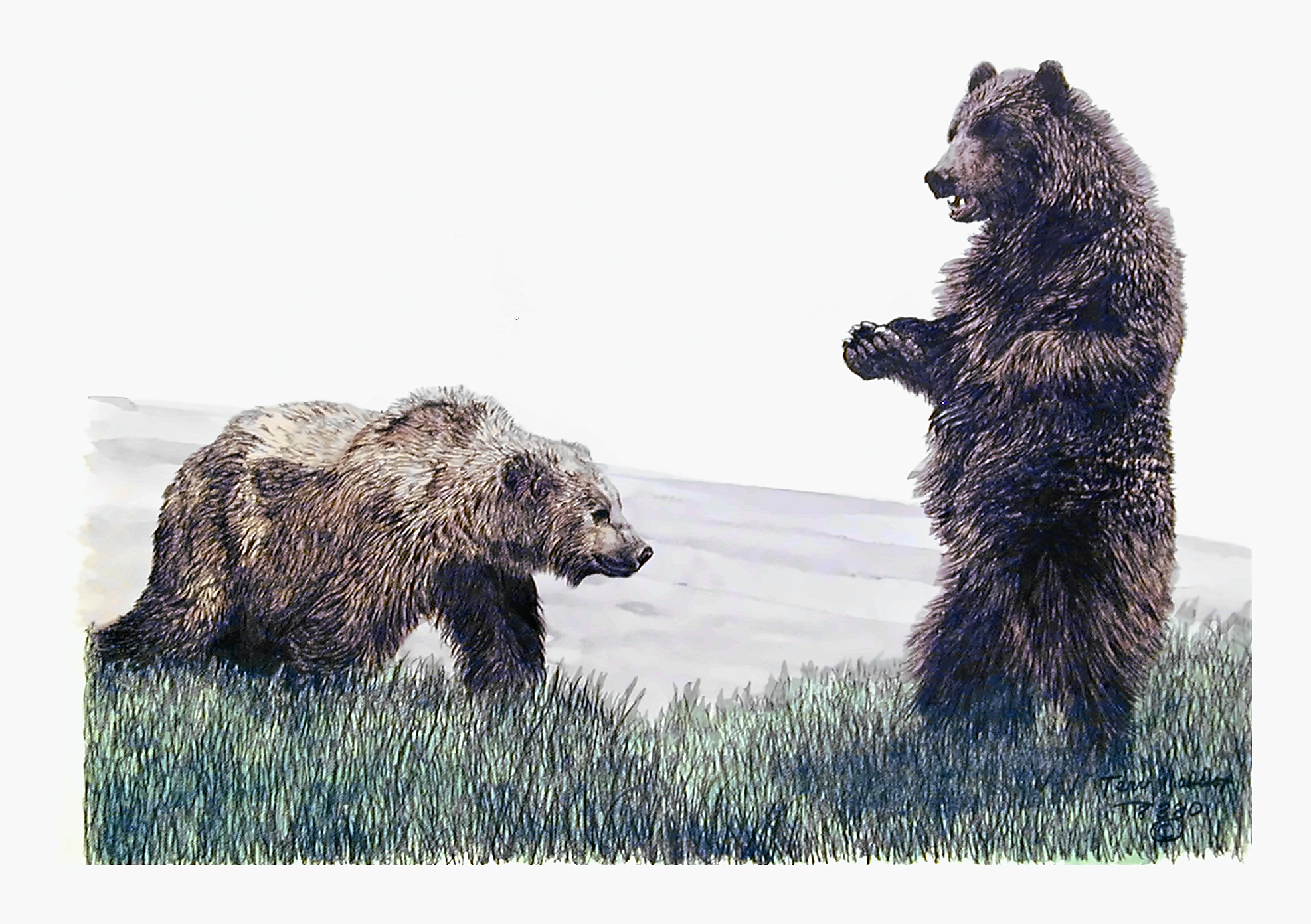 Grizzlies