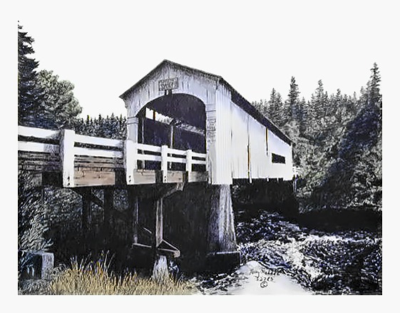 Wildcat bridge Suisilaw River