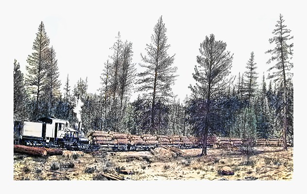 Logging Train