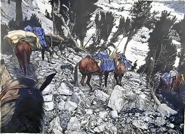 Mule Pack String