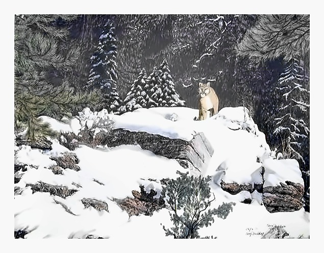 Winter Hunter