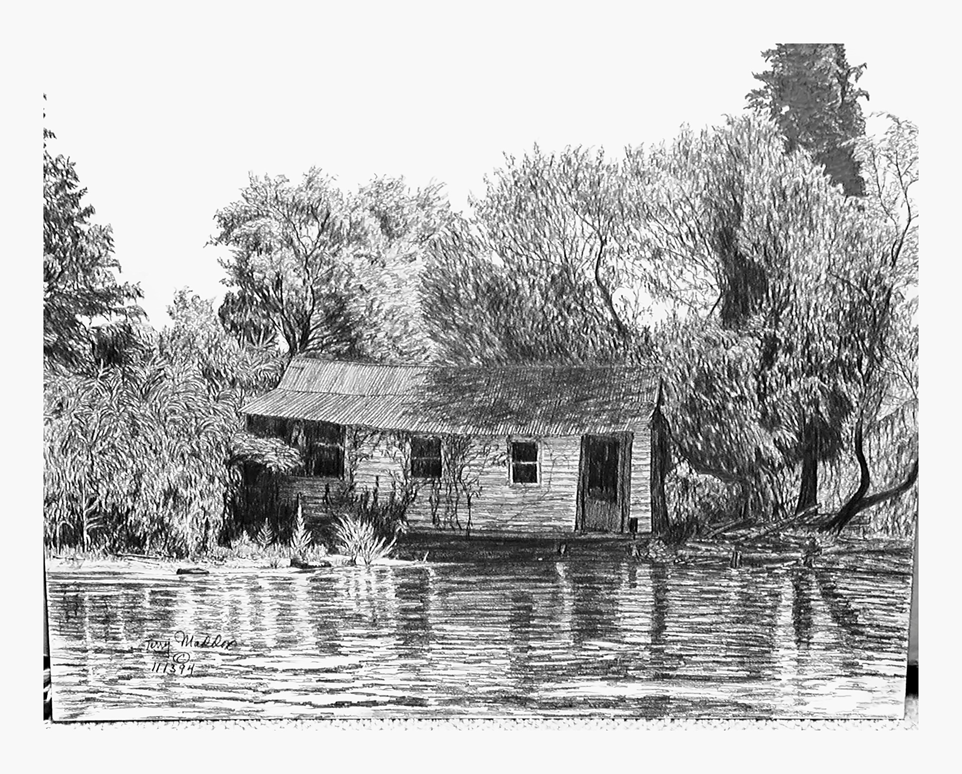 Louisiana Swamp Shack