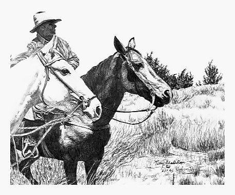 Looking for Strays - Cowboys