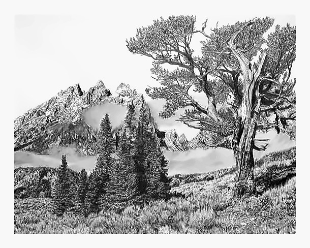 Grand Tetons
