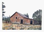 Horse Barn