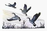 Rising Geese