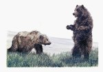 Grizzlies