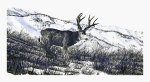 High Mountain Buck