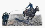 Steer Roper