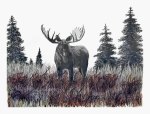 Bull Moose