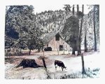 Barn and Steer