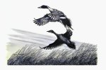 Pin Tails