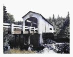 Wildcat bridge Suisilaw River