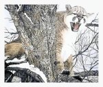 Treed