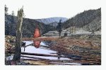 Mill at Westfir