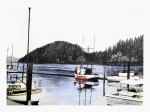Florence Harbour