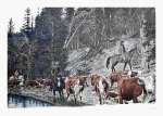 Cattle Drive