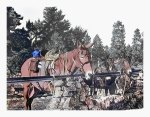 Mules at the Rock Corral