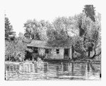 Louisiana Swamp Shack