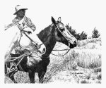 Looking for Strays - Cowboys