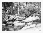 River Crossing