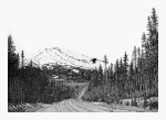 Mount Bachelor
